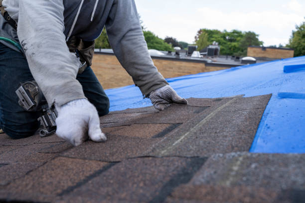 Best Shingle Roofing Installation  in Crosby, ND
